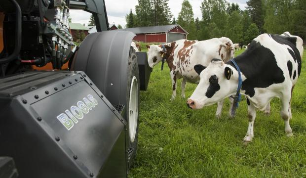 Miten asioissa voi edetä?