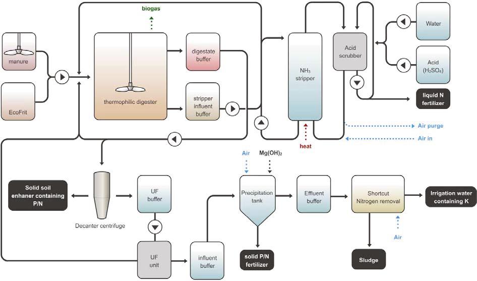 Kuva 21. ManureEcoMine prosessikaavio (Pintucci ym., 2017). ManureEcoMine -pilotoinnin yhteydessä lopputuotteista tehtyjä sekotuksia testattiin kasvihuonetuotannossa.