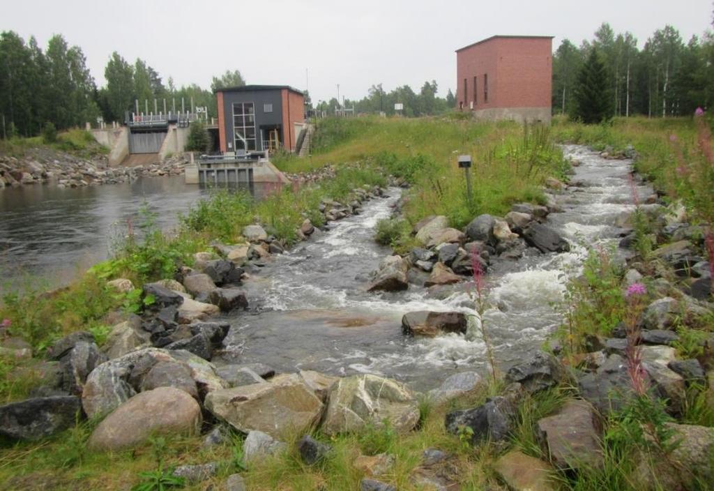 Tierumpujen läpikulku Paikallis- ja metsäautoteiden ylittäessä puroja on ylitys järjestetty useimmiten rummulla.