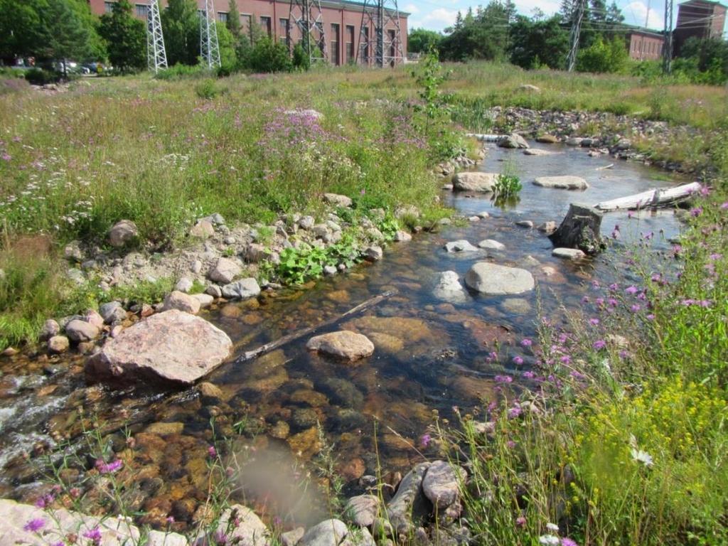 Loiviin ohitusuomiin voidaan rakentaa myös poikastuotantoon soveltuvia olosuhteita kaloille, esimerkiksi taimenelle.