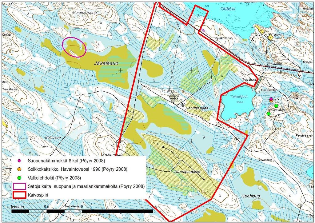 YMPÄRISTÖVAIKUTUSTEN ARVIOINTISELOSTUS 117 Kuva 11-1. Huomionarvoisten kasviesiintymien sijainnit (Pöyry 2008) Kangassaarekkeen ja rämeen koillispuoli on laajalti jouhisaravaltaista suursaranevaa.