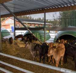 päivittänyt strategiansa. Kevättalven aikana on täsmennetty selvät suuntaviivat ja kehitystavoitteet tuleville vuosille.
