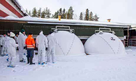 Yhä useampien kokemusten mukaan kylmä vasikkakasvattamo voi antaa vasikoille paremmat lähtökohdat hyvään kasvuun ja terveyteen kuin perinteinen lämminkasvattamo.