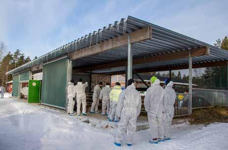 Yleinen eläintautitilanne herätti ajatuksen ja mielenkiinnon tähän Uuden kasvattamon tavoitteina olivat edulliset rakennusmateriaalit ja toimivat ratkaisut.