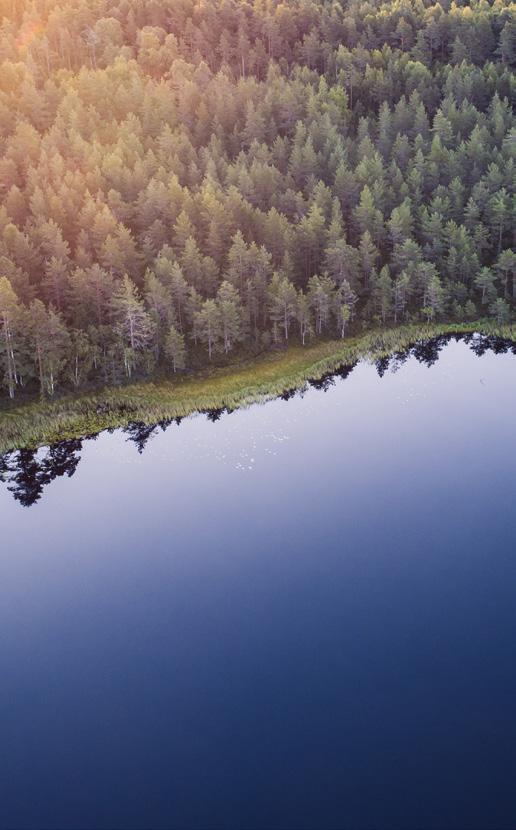 GASUM LYHYESTI STRATEGIA, MISSIO, VISIO ASKEL ASKELEELTA KOHTI PUHTAAMPAA HUOMISTA Hiilineutraali tulevaisuus on sekä välttämättömyys että liiketoimin tamahdollisuus.
