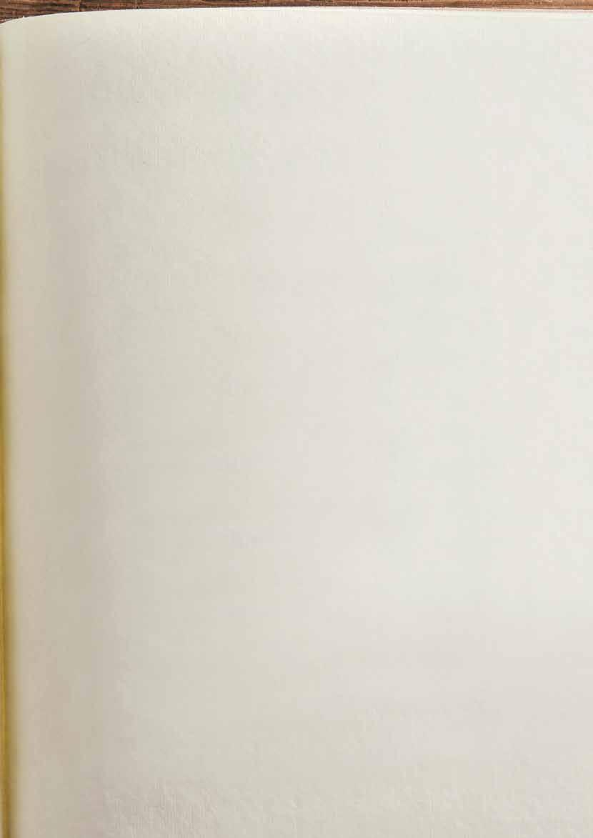 Paparazzi Ravintolatoimialan vuosijuhla HOK-Elannon ravintoloiden perinteinen vuosijuhla järjestettiin 24.