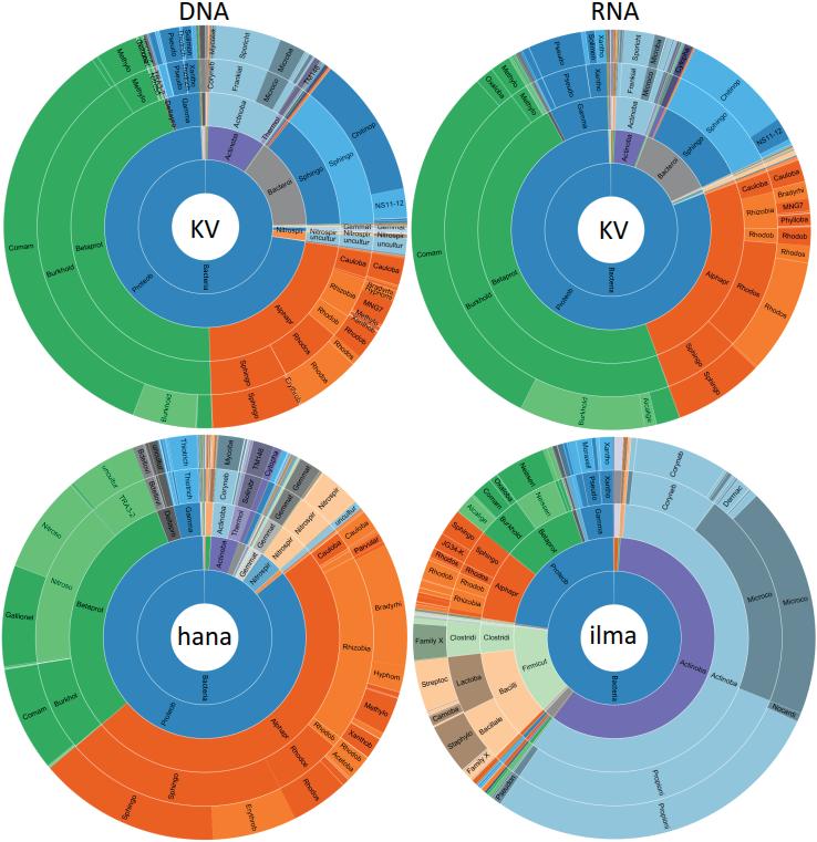 404 Sisäilmayhdistys raportti 36 mikrobiomianalyysin (keskimääräiset pitoisuudet DNA 0,1 μg/l hanavettä, DNA 2,7 μg/l kasteluvettä ja RNA 2,0 μg/l kasteluvettä).