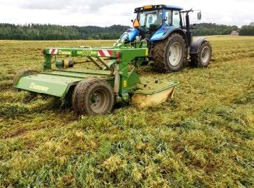 Herne-kaurasta tehtävän säilörehun korjuu käynnistyi niitolla 23.8.2017 (kuva 3).