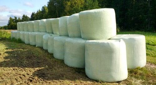 Kuva 9. Paalit varastoitiin pellon laidalle. Kuva: Katariina Manni, HAMK. Sääolot suosivat korjuuta. Keli oli kuiva ja aurinkoinen.