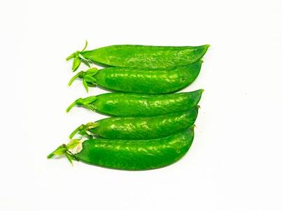 Markana on melko myöhäinen ja suuripalkoinen lajike.