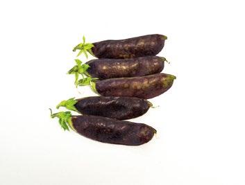 Kukinnon väri on sinertävä. Palkojen väri säilyy hyvin vokkiruuissa ja kevyesti pannulla kypsennettynä.