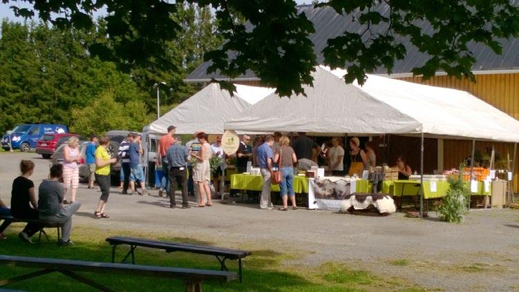 Kotimaisia valkuaiskasveja lautaselle Kaisa Kuoppala ja Marketta Rinne Luonnonvarakeskus, Jokioinen Katariina Manni Hämeen ammattikorkeakoulu, Mustiala Kuvat: Kaisa Kuoppala, Luke. Kuva 1.