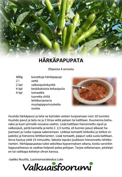 Tietoiskut taltioitiin ja ne ovat kuunneltavissa tästä linkistä: Tietoiskut 11.8.2015 Tuottajatorilla oli myynnissä monenlaisia valkuaiskasvituotteita kuten herneitä, härkäpapua, kvinoaa ja tempeä.