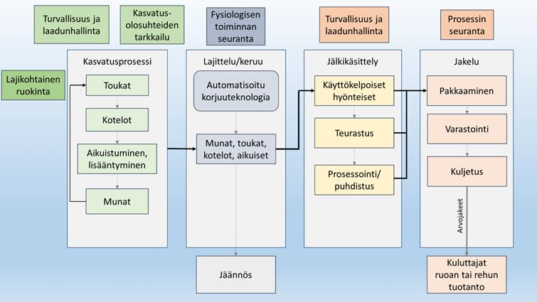 ta yleisesti, sekä hieman tarkemmin mustasotilaskärpäsen, kotisirkan ja jauhomadon kasvatuksesta.