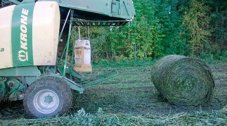 oksissa kevätvehnää tai kauraa ja härkäpapua tai hernettä. Härkäpavusta ja herneestä parhaiten soveltuivat kokoviljasäilörehuun sulavuuden ja satoisuuden perusteella vihantalajikkeet.