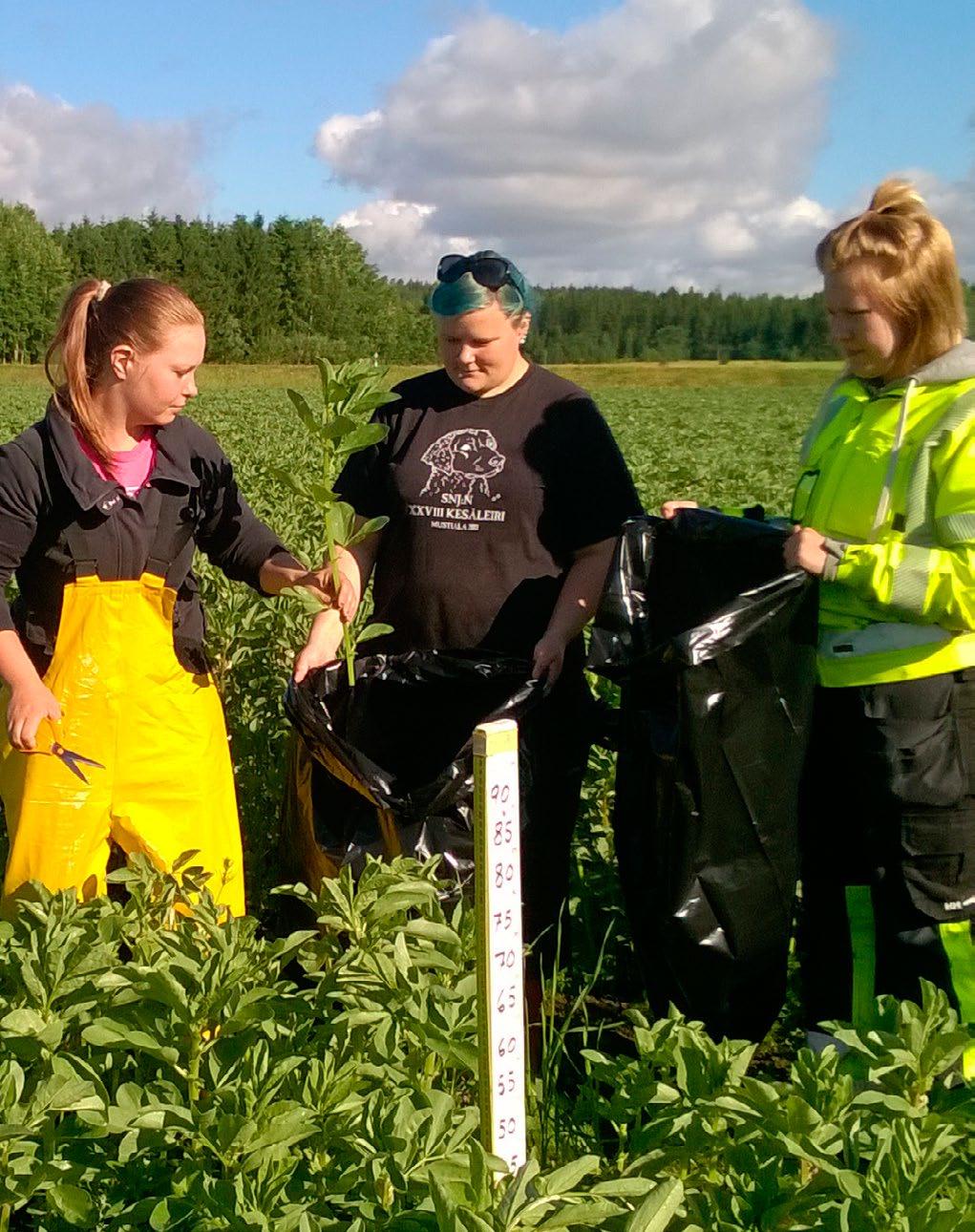 2. VALKUAISFOORUMI EDISTÄÄ VALKUAISOMAVARAISUUTTA 6