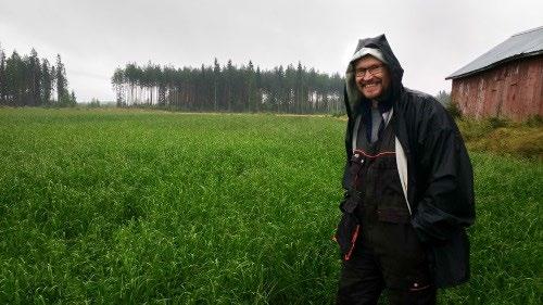 Säilörehusta Horkka korjaa yleensä kolme satoa, mutta ei neljäskään sato ole mahdottomuus. Vähintään kolme korjuuta mahdollistaa ruokonadan käytön siemenseoksessa.