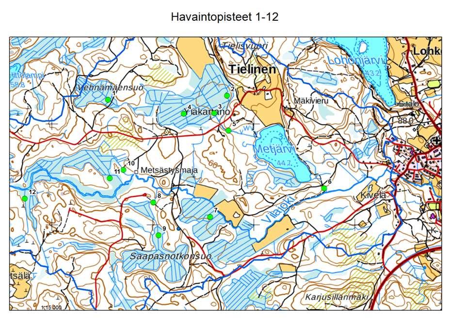 Maltti metsänhoidossa Valtti