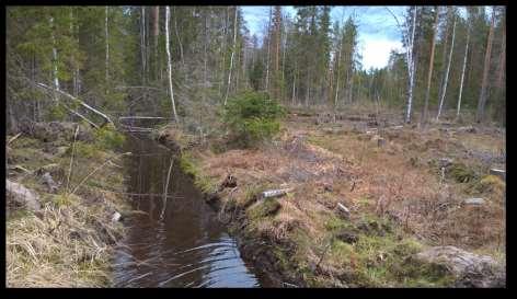 Aluetta ei ole vielä muokattu tai uudistettu.