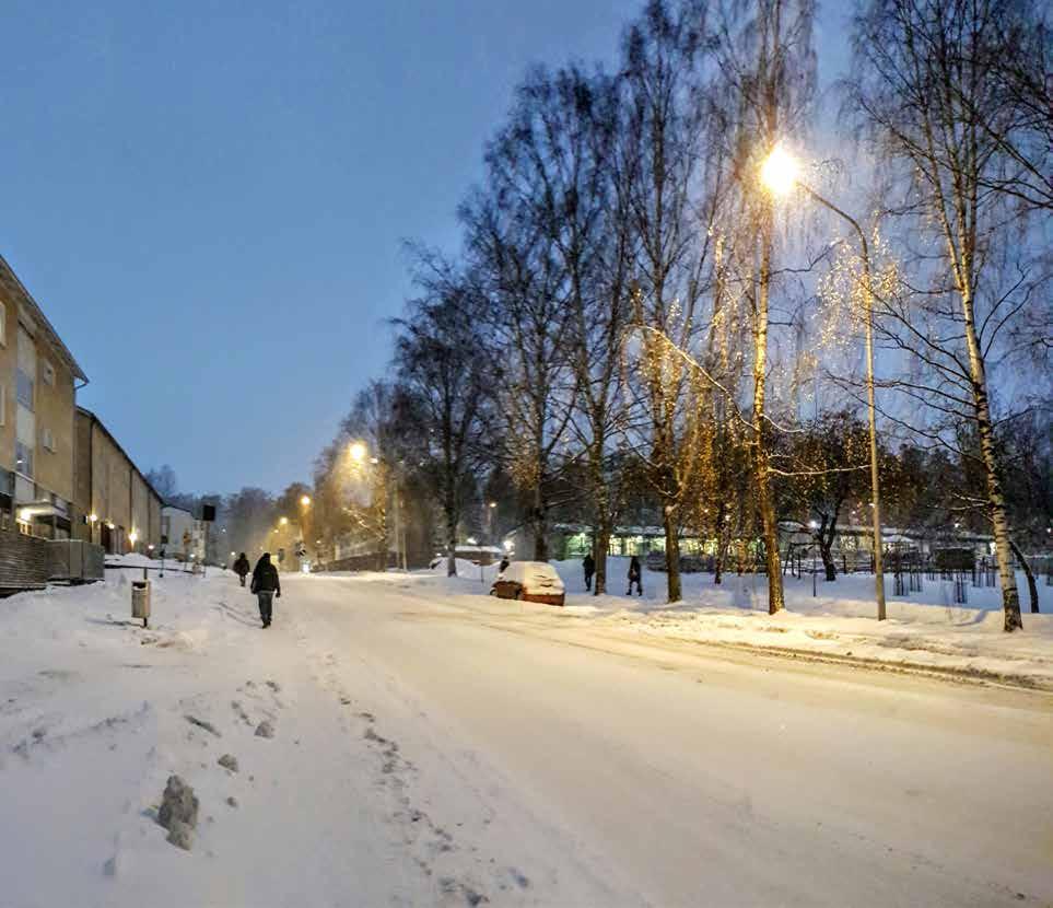 Kuva: Raimo Mäkelä