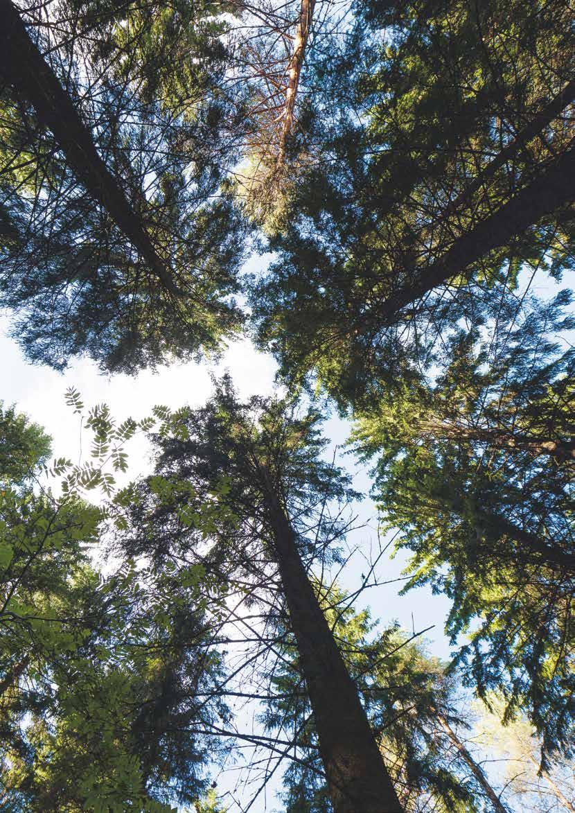 Luennot Luennoille ei tarvitse ilmoittautua ja ne ovat maksuttomia. Tervetuloa! HEINÄVESI Jatkuva kasvatus metsänhoidon mahdollisuutena (9000401) Heinäveden yläkoulun luokka 101, Kenttätie 1 B ti 17.