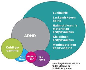 psykologit ovat tyypillisesti mukana): puheen ja kielenkehityksen häiriö 5 7 % motoriikan