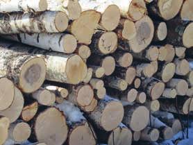 . maa- ja metsätalous 4.22 Maa- ja metsätalous Asiaryhmään tilastoitiin maa- ja metsätalousministeriön (MMM) toimialaan kuuluvat asiat.