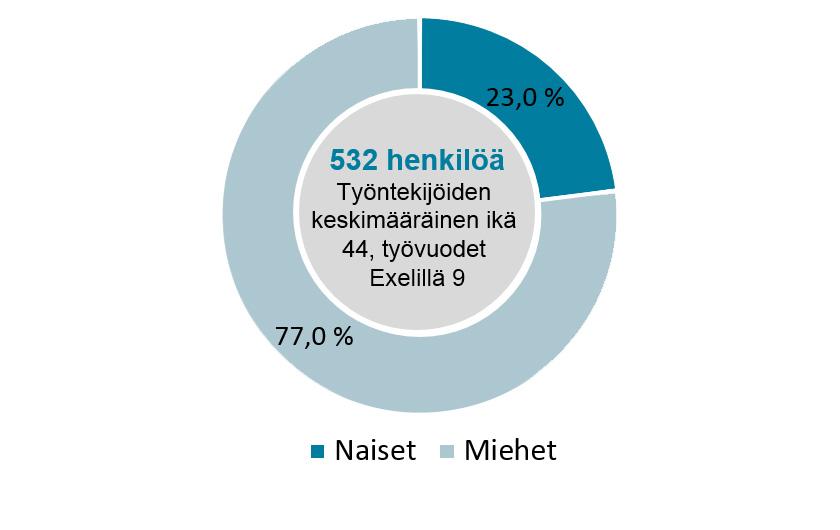 Monimuotoisuutta kannustetaan ja sitä kunnioitetaan niin työpaikalla, kaikissa rekrytointitilanteissa [9] kuin yhtiön hallituksen kokoonpanossakin.