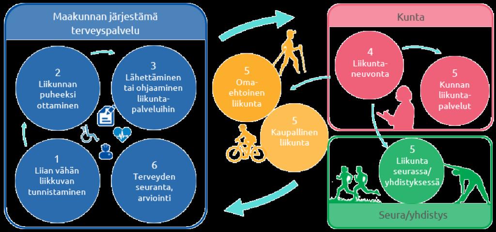 Kuva 11: Esimerkki liikunnan palveluketjusta, jossa urheiluseura on mukana.