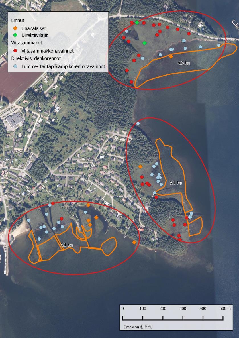 ESA-ELY Vesikasvillisuuden poisto, kohdealue 1. Toteutus kolmen vuoden aikana yhteensä n. 30 ha (n. 10 ha/v). Kerimäen Matinniemi.