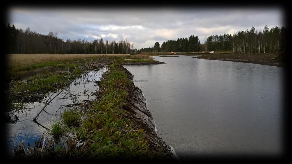 Valuma-alueen kunnostukset, vesiensuojelurakenteet Metsäkeskus, POK-ELY ja ESA-ELY Kohdealueilla 4 ja 5 suunnitellaan vesiensuojelurakenteet, joiden tarkoituksena on vähentää