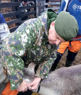 vasen korva - pykälä alla päällä Jääkäriprikaatin järjestämillä henkilökunnan