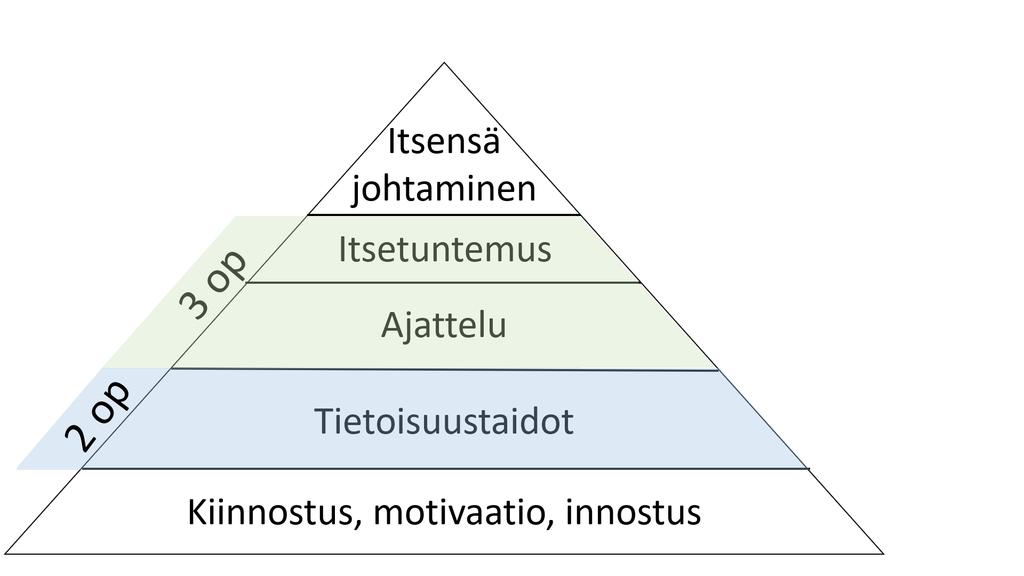 Eräs lääkäri sanoi mielestäni hienosti elämän onnellisuudesta suunnilleen tähän