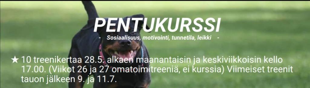 PK Ylös, Ulos ja Kentälle!