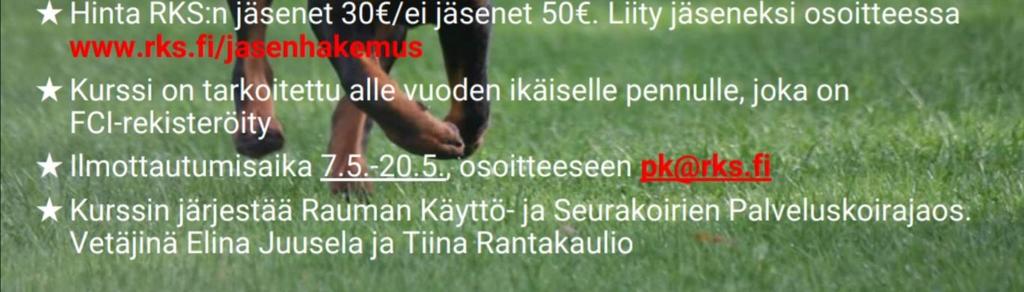 viimeistään on aika kaivaa reenikamat ja