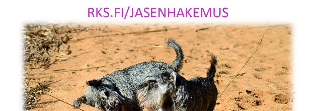 SISÄLLYS HALLITUS 2018 3 kannen kuva : Tiina Puisto YLEISTÄ TIEDOTETTAVAA 4 RAHASTONHOITAJAN