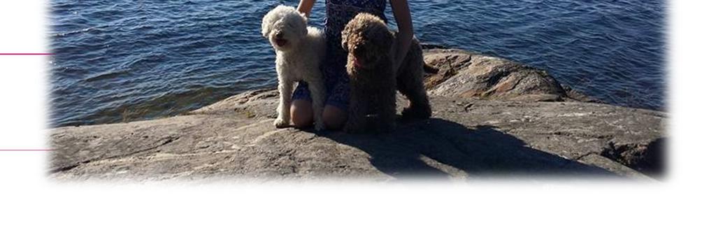 Minulta löytyy kotoa kaksi lagotto romagnoloa, kahdeksanvuotias Gina ja oma treenikaverini, kuusivuotias Zara.