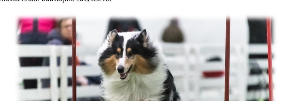 AGILITY KESÄN KISAT 2018 KESÄKUU ma 4.6. 3 x 3lk (agi+ hyp + agi) ti 5.6. 2 x 1- ja 2-luokat (agi+ hyp + agi) HEINÄKUU AGIPITSIT pe 20.