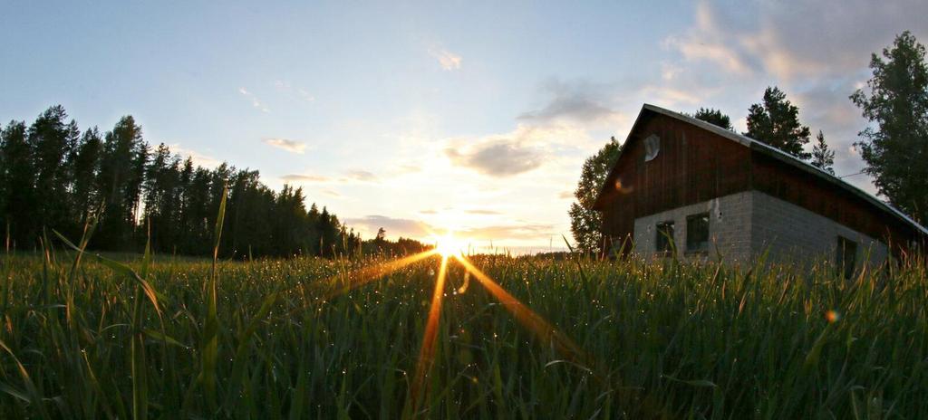 Varaudu talveen Syksyllä tyhjilleen jäävät mökit houkuttelevat varkaita ja jyrsijöitä Muista huoltaa ja varustaa kesämökki talviteloille.