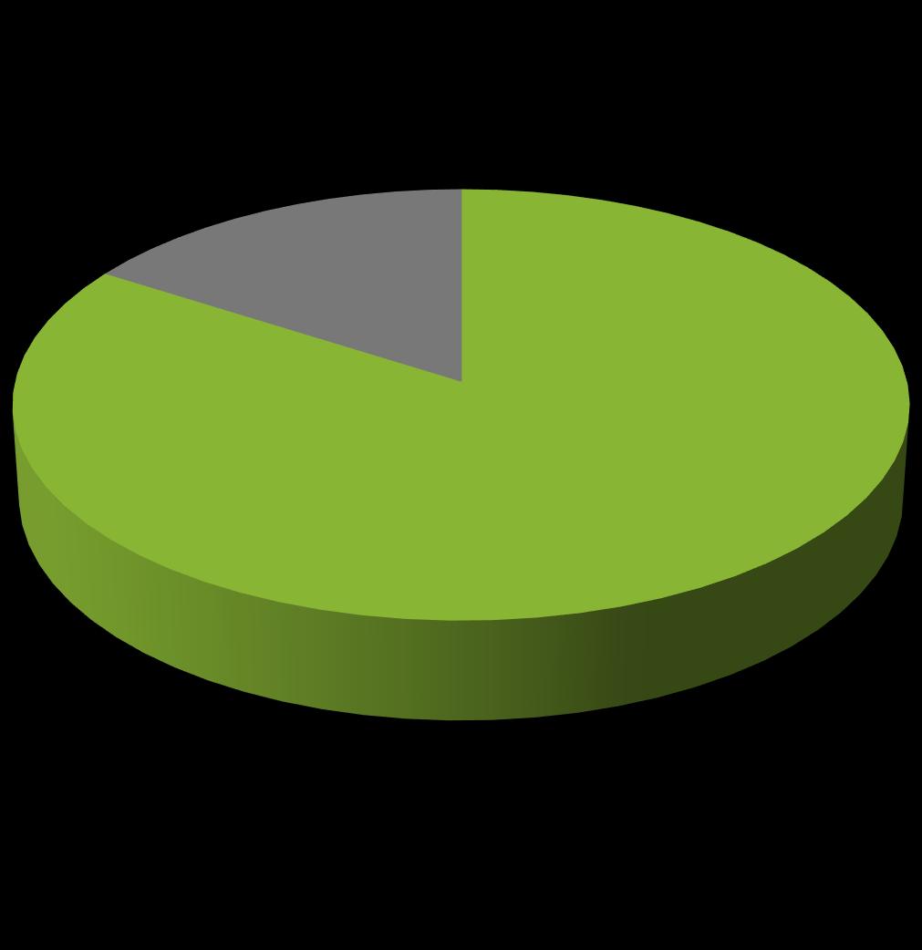 (lapsibudjetointi) 16% 84%