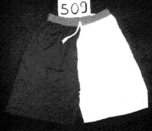 6204 63 90 Kolmesta erivärisestä kankaasta (100 % polyamidia) valmistettu vaate, joka peittää vartalon alaosan ja ulottuu vyötäröltä puolireiteen peittäen kummankin säären erikseen, ja joka ei ole