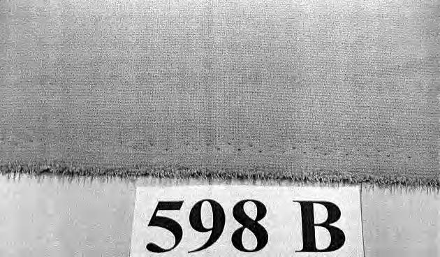 (katso valokuva n:o 598 A + B) (*).