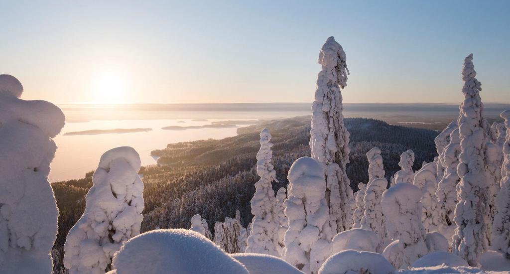Jos kuvissasi on luontoa tai ulkokuvaa, valitse ne