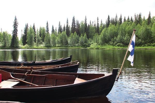 Täällä riittäsi huppailijoille silmänruokaa ja kesän tuoksuja, sanoin. Hyyräisivät vaikka Alakylältä jonku venemiehen, joka laskisi Jokijärvestä Taivalkoskelle. Mille huppailijoille?