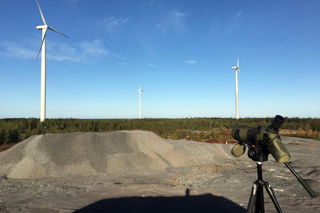 Kalajoki Pyhäjoki tuulivoimapuistot 5 (41) 3 AINEISTO JA MENETELMÄT 3.