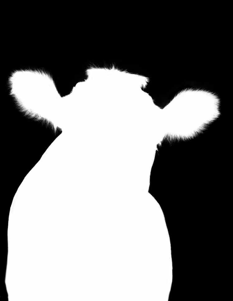 saapumispäivä 23,50 29,14 Koneellinen 5-osainen valkosoluerottelu B saapumispäivä 5,24 6,50 Lihaspaketti: ASAT, CK, Mg, Na, K S/HP! saapumispäivä 18,11 22,46 Luustopaketti: AFOS, Pi, Ca S/HP!