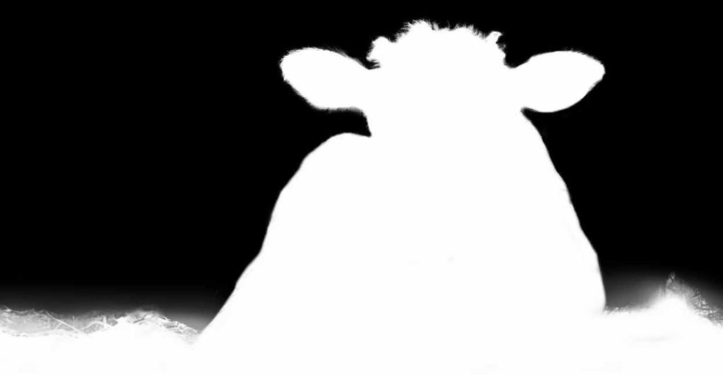 equi (pääntauti) (qpcr) Kestävä vanutikku 1 3 37,59 46,61 Strongylus vulgaris (iso sukkulamato) (qpcr) (Löytyy hevosen tutkimuspaketeista Strongylus vulgaris, McMaster -pakettina) F Tritrichomonas