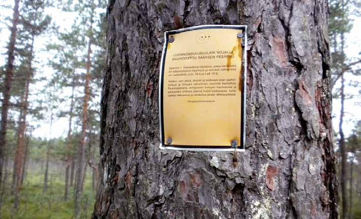 käytössä olevat taulut ovat Ympäristöministeriön allekirjoittamia ja valmistamia.