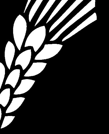 LÄHETYS Kiitos kaikille keväällä ja kesällä lähetystyön toimintaan osallistuneille ja talkoissa olleille, olette korvaamattomia!