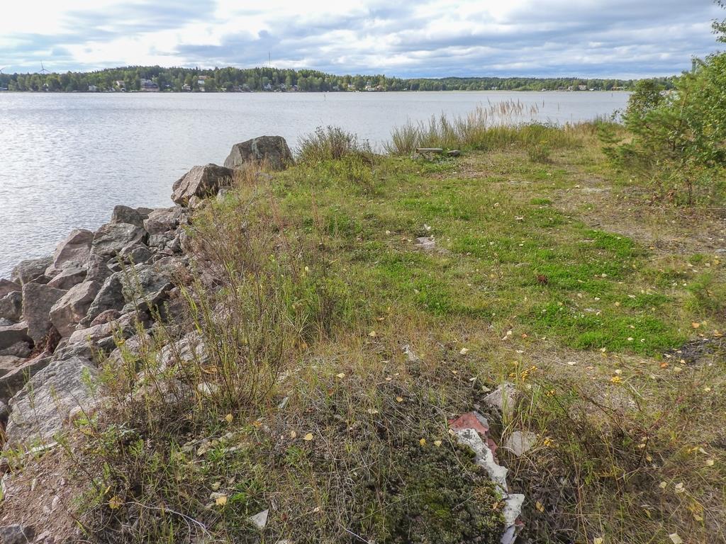 Kuva 6. Länsisataman rannan ketomarunakasvustoja 18.9.